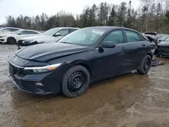 KMHLN4DG1SU036171 2025 HYUNDAI ELANTRA
