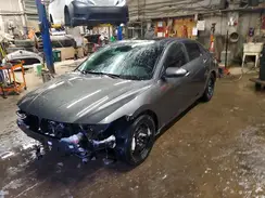 KMHLN4DG4RU701655 2024 HYUNDAI ELANTRA