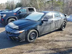 KMHLN4DG4RU848591 2024 HYUNDAI ELANTRA