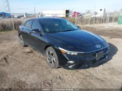 KMHLN4DG5RU729626 2024 HYUNDAI ELANTRA