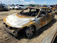 KMHLN4DG5RU848535 2024 HYUNDAI ELANTRA