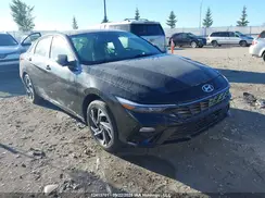 KMHLN4DG6RU738027 2024 HYUNDAI ELANTRA