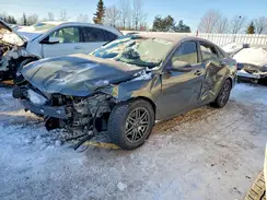 KMHLN4DG6RU846261 2024 HYUNDAI ELANTRA
