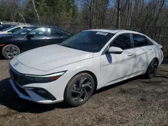 KMHLN4DG7RU791951 2024 HYUNDAI ELANTRA