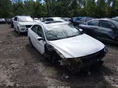 KMHLN4DJ1RU105043 2024 HYUNDAI ELANTRA