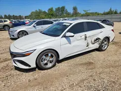 KMHLN4DJ7RU109856 2024 HYUNDAI ELANTRA