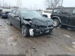 KMHLN4DJ8SU179775 2025 HYUNDAI ELANTRA