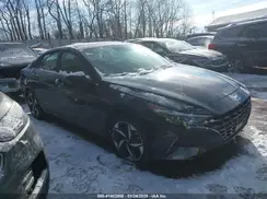 KMHLP4AG7PU506483 2023 HYUNDAI ELANTRA