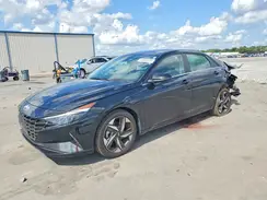 KMHLP4AG8PU533207 2023 HYUNDAI ELANTRA