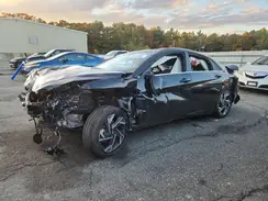 KMHLP4DG3RU799037 2024 HYUNDAI ELANTRA