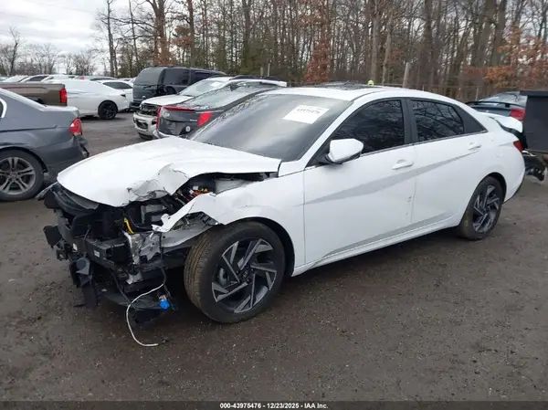 KMHLP4DG4RU841330 2024 HYUNDAI ELANTRA - Image 2