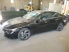KMHLP4DG5RU650709 2024 HYUNDAI ELANTRA