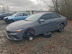 KMHLP4DG6RU656146 2024 HYUNDAI ELANTRA