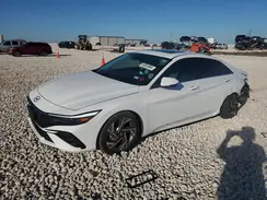 KMHLP4DG7RU656334 2024 HYUNDAI ELANTRA
