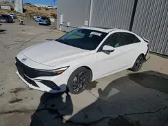KMHLP4DG9RU833367 2024 HYUNDAI ELANTRA