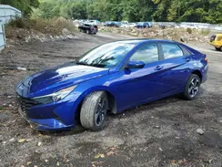 KMHLS4AG7PU559845 2023 HYUNDAI ELANTRA