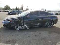 KMHLS4AGXPU465488 2023 HYUNDAI ELANTRA