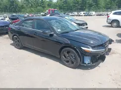 KMHLS4DG0TU219832 2026 HYUNDAI ELANTRA