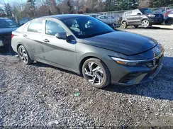 KMHLS4DG1RU800541 2024 HYUNDAI ELANTRA