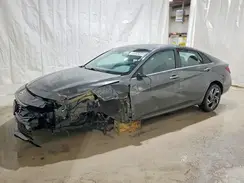 KMHLS4DG2SU897559 2025 HYUNDAI ELANTRA