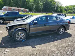 KMHLS4DG3TU161750 2026 HYUNDAI ELANTRA