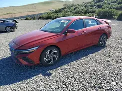KMHLS4DG4RU648531 2024 HYUNDAI ELANTRA