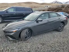 KMHLS4DG5RU673339 2024 HYUNDAI ELANTRA
