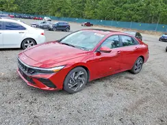 KMHLS4DG5SU996828 2025 HYUNDAI ELANTRA