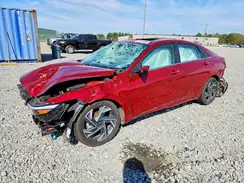 KMHLS4DG6RU761719 2024 HYUNDAI ELANTRA