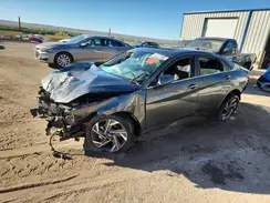 KMHLS4DG6SU880618 2025 HYUNDAI ELANTRA