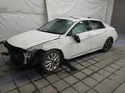 KMHLS4DG9RU657967 2024 HYUNDAI ELANTRA