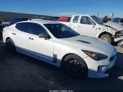 KNAE15LA1K6049533 2019 KIA STINGER