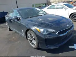 KNAE15LA2K6066132 2019 KIA STINGER