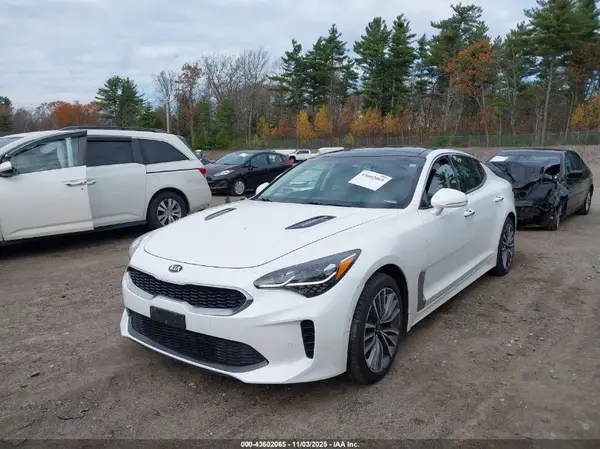 KNAE15LA4K6046562 2019 KIA STINGER - Image 2