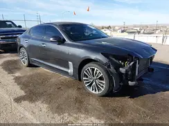 KNAE15LA6K6047244 2019 KIA STINGER
