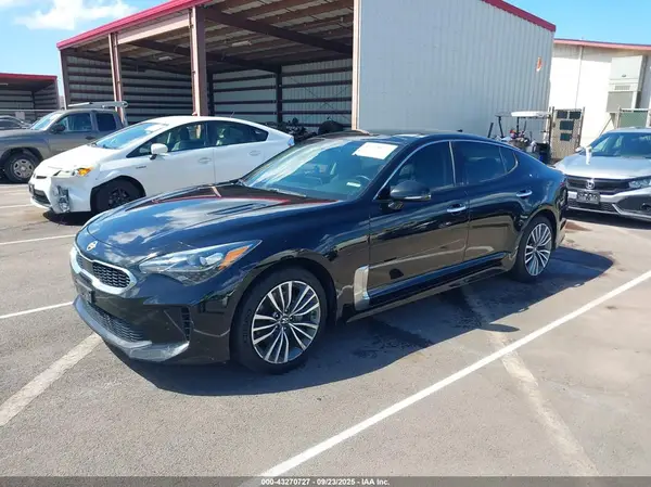 KNAE25LA0K6058804 2019 KIA STINGER - Image 2