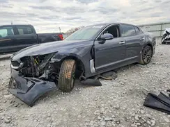 KNAE25LA2K6060036 2019 KIA STINGER
