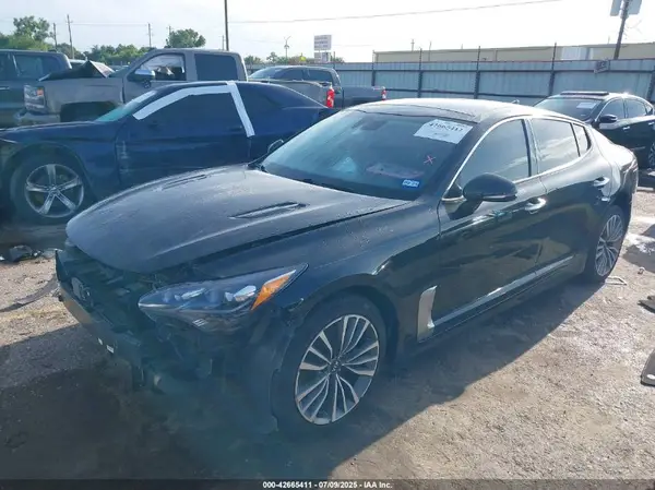 KNAE25LA2K6064362 2019 KIA STINGER - Image 2