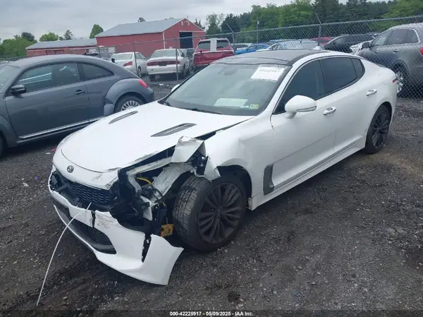 KNAE25LA3K6063981 2019 KIA STINGER - Image 2