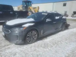 KNAE25LA7K6047637 2019 KIA STINGER