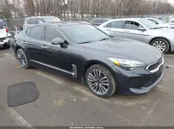 KNAE25LAXK6053836 2019 KIA STINGER