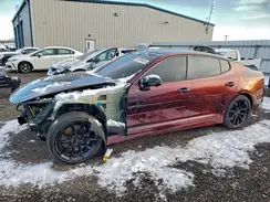 KNAE55LC4P6136694 2023 KIA STINGER
