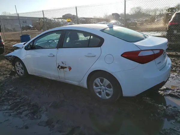 KNAFK4A63G5616591 2016 KIA FORTE - Image 2