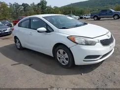 KNAFK4A6XG5590393 2016 KIA FORTE