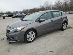 KNAFK5A80G5646798 2016 KIA FORTE