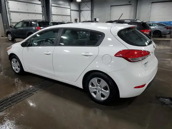 KNAFK5A80H5692455 2017 KIA FORTE - Image 2