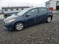 KNAFK5A81H5698782 2017 KIA FORTE