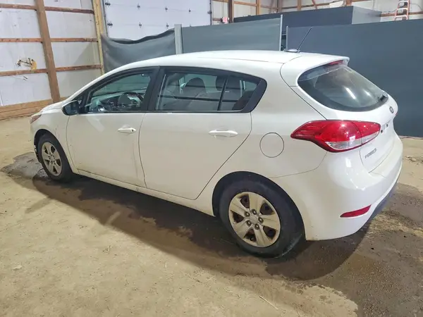 KNAFK5A82H5684499 2017 KIA FORTE - Image 2