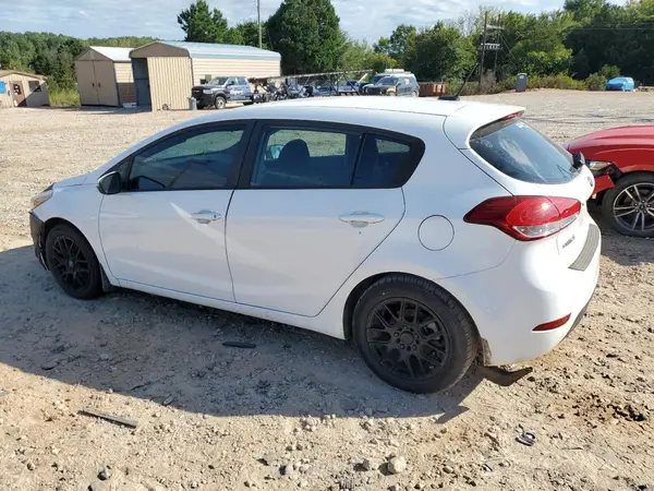 KNAFK5A82H5686978 2017 KIA FORTE - Image 2