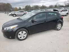 KNAFK5A83H5690442 2017 KIA FORTE